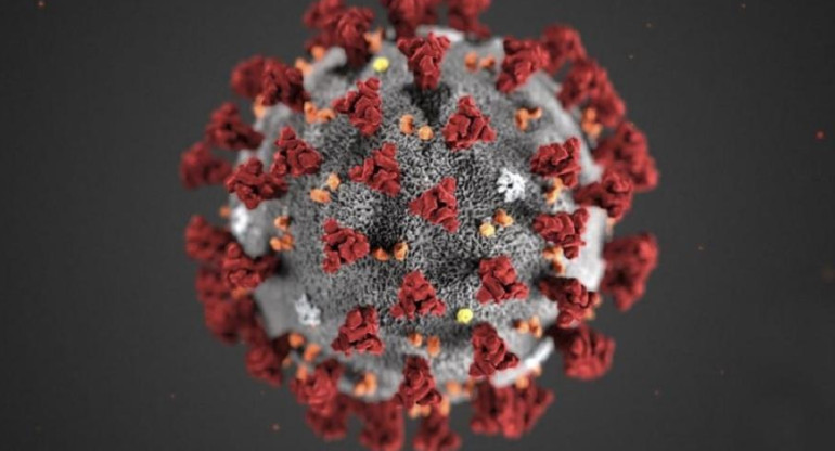 Coronavirus en el mundo