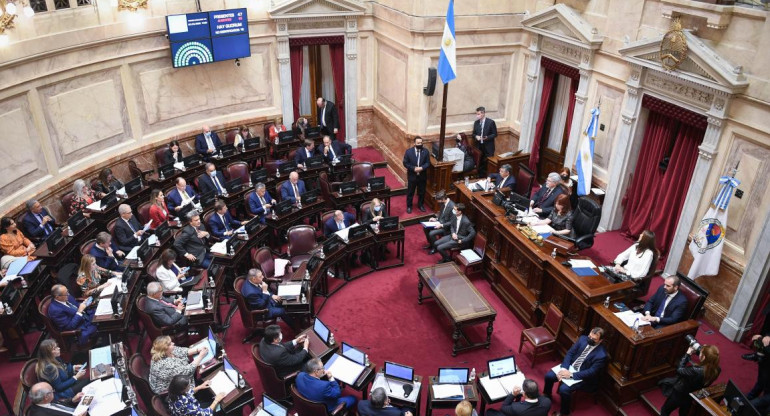 Senado, Congreso, foto NA