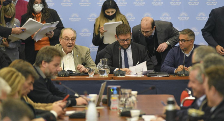 Reunión de comisiones de Diputados por la boleta única. Foto NA