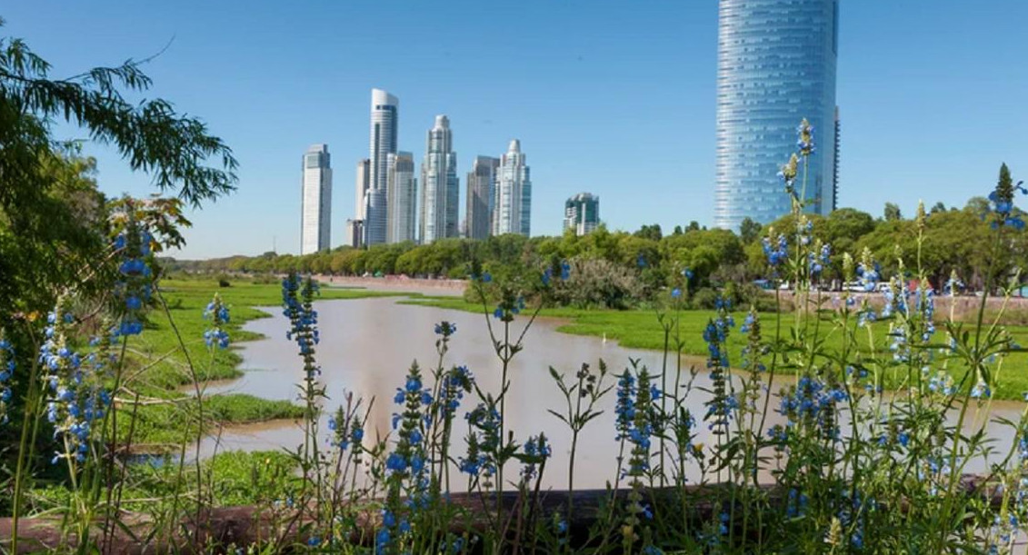 Reserva ecológica de la Ciudad de Buenos Aires. Foto: NA.