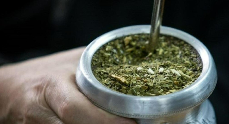 Mate, yerba mate, foto NA