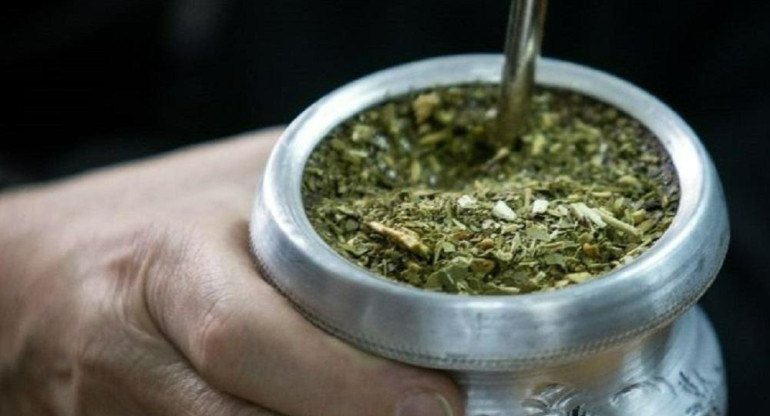 Mate, yerba mate, foto NA