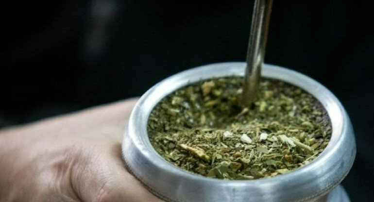 Mate, yerba mate, foto NA