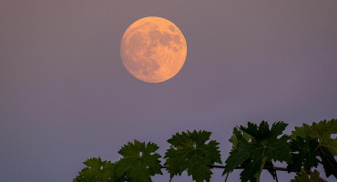 Superluna de ciervo. Foto: EFE.