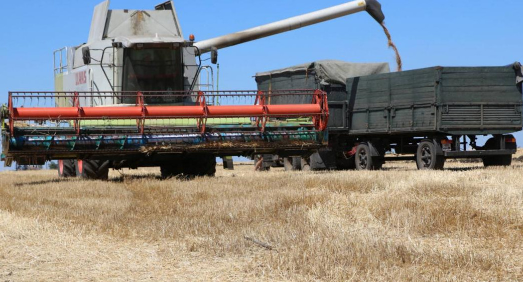 Maquinaria agrícola cosecha trigo. Foto: NA.