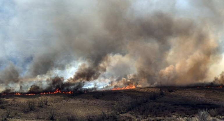 Incendios en el Delta. Foto: Telam.