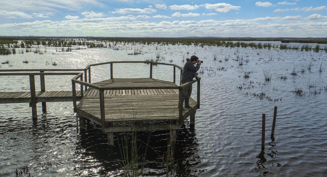 Foto: Parque Nacional Ciervo de los Pantanos. Gentileza. Parques Nacionales. Argentina.gob.ar