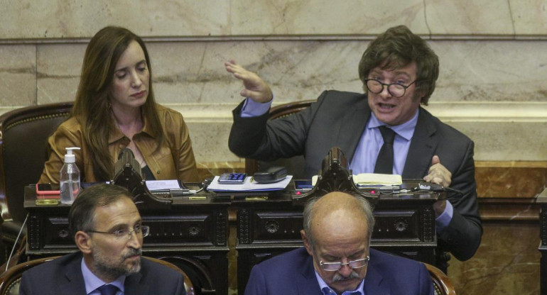 Javier Milei en Diputados. Foto: NA.