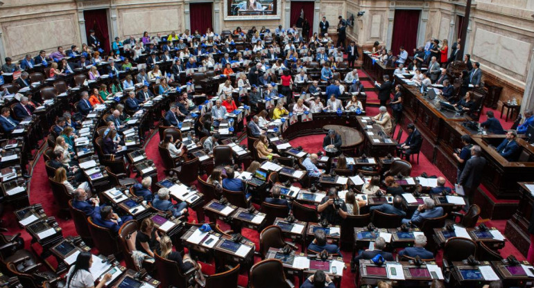 Diputados en la sesión que aprobó la ley de alcohol cero al volante. Foto: NA.