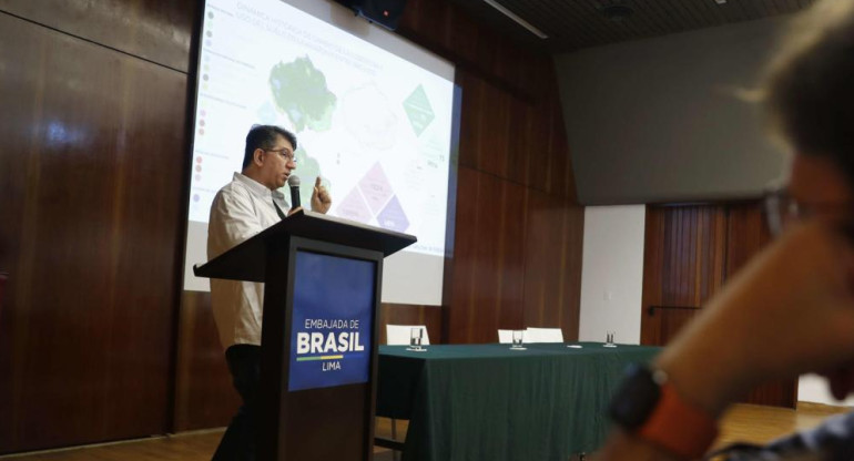 "MapBiomas AmazonIa Colecció 4.0", en la Embajada de Brasil, en Lima (Perú). EFE