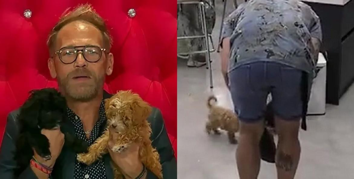 Rodolfo con los perritos. Fotos: captura Telefe.