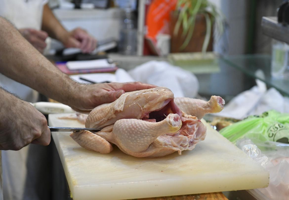 Efecto gripe aviar: cae el consumo de carne de pollo en la Argentina |  Canal 26