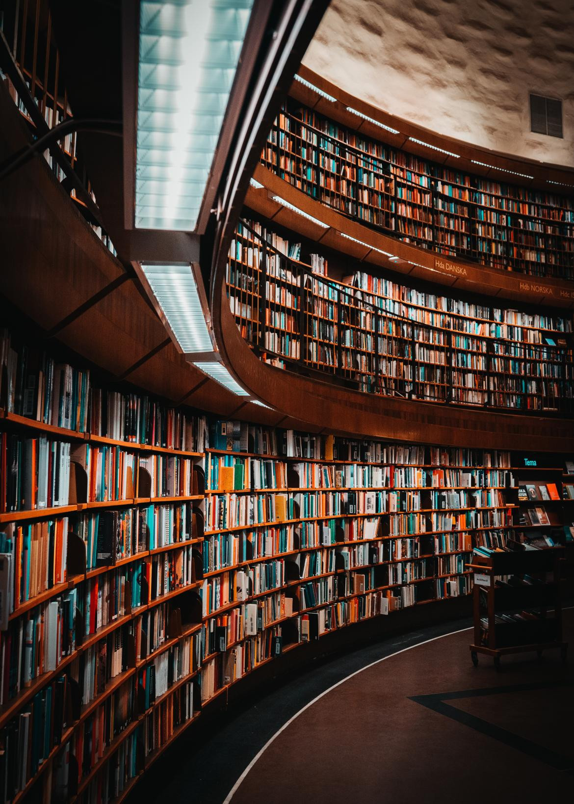 Biblioteca. Foto: Unsplash.