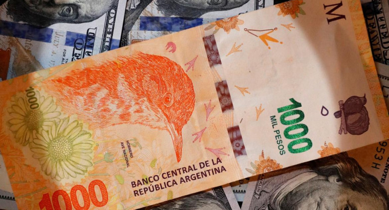 Billetes, pesos y dólares, NA