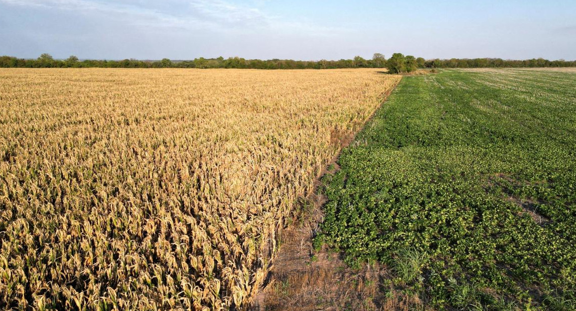 Sequía en el campo, economía argentina. Foto: NA