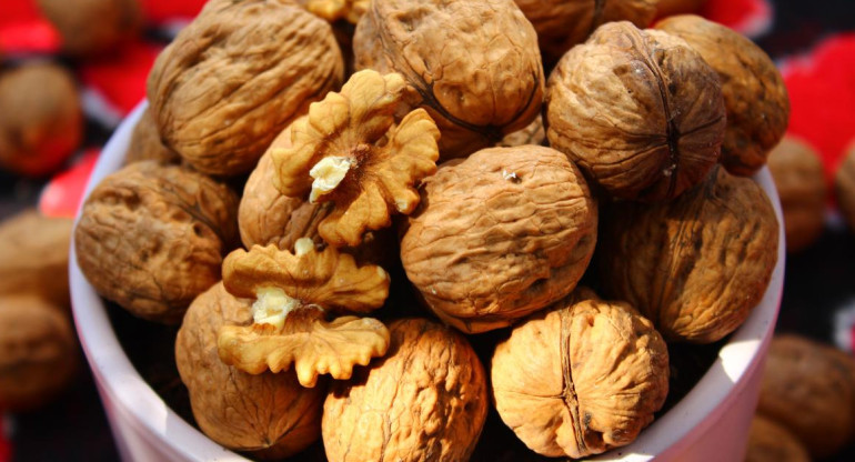 Nueces. Foto: Mustafa Akin, Unsplash