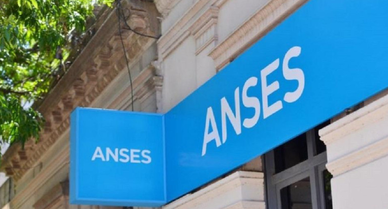 ANSES. Foto: NA.