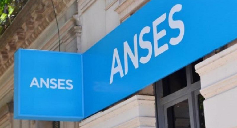 ANSES. Foto: NA.