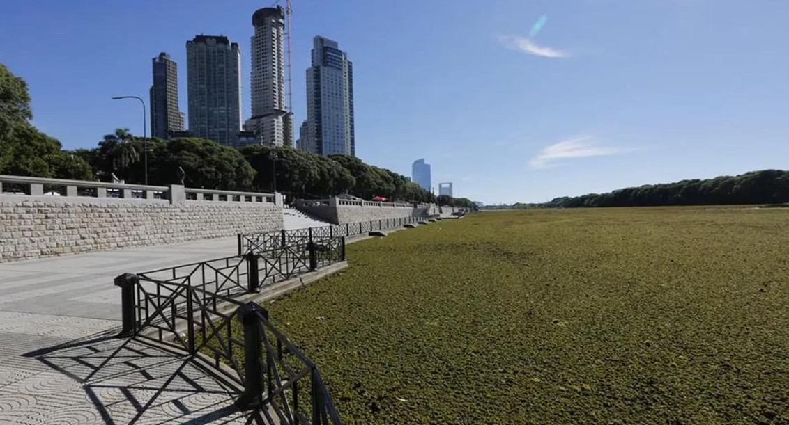 Reserva Ecológica de la Ciudad de Buenos Aires . Foto: Google Maps