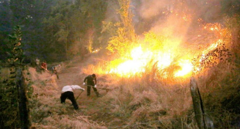 Incendios en La Araucania, en el sur de Chile.