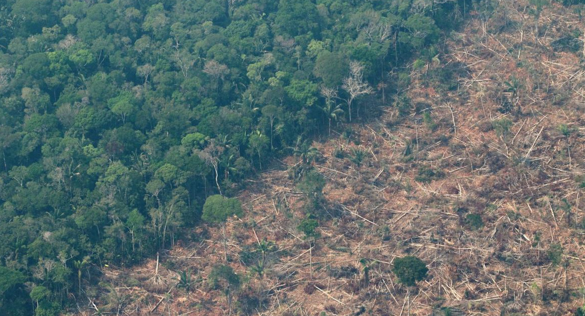 Deforestación en el Amazonia. Foto: EFE