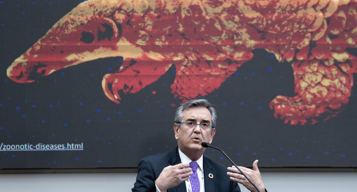 Rodolfo Lacy, especialista de la ONU. Foto: EFE.