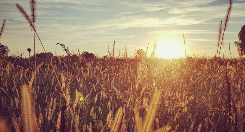 El Niño y los cambios de temperatura. Foto: Unsplash