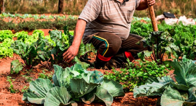 Slow Food está presente en más de 160 ciudades de todo el mundo con más de un millón de activistas. Foto: NA.