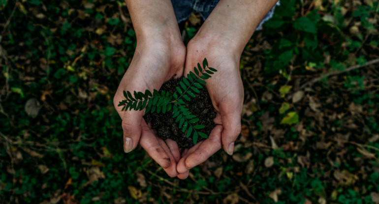 Medio ambiente. Foto: Unsplash.