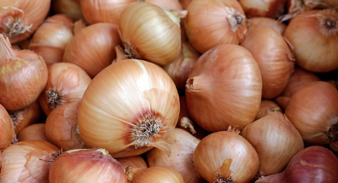 Cebollas. Foto: Unsplash.