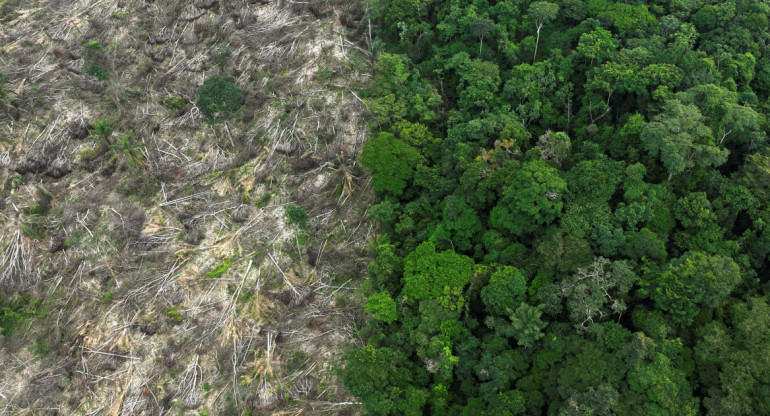 Deforestación cerca de Uruara, estado de Pará, en la Amazonía brasileña. Reuters