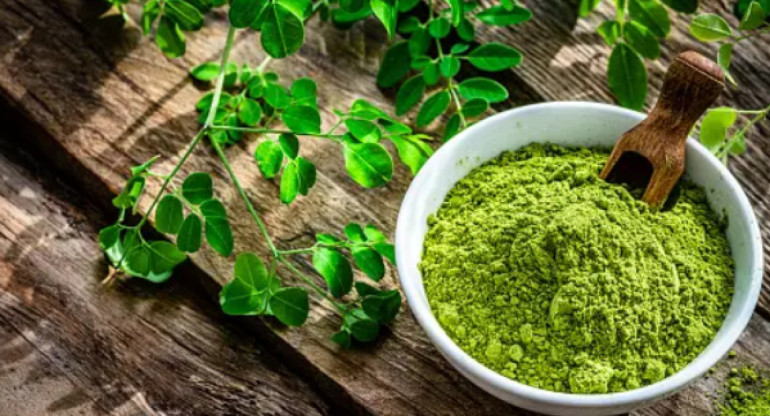 Superalimentos, moringa. foto: Unsplash