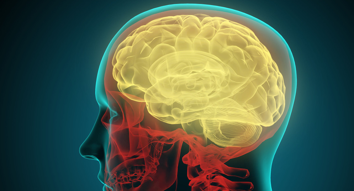 Cerebro humano. Foto: Alamy