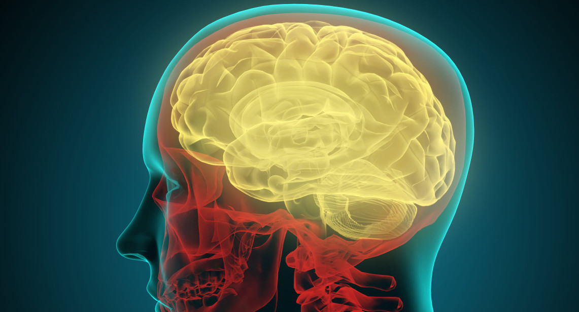 Cerebro humano. Foto: Alamy