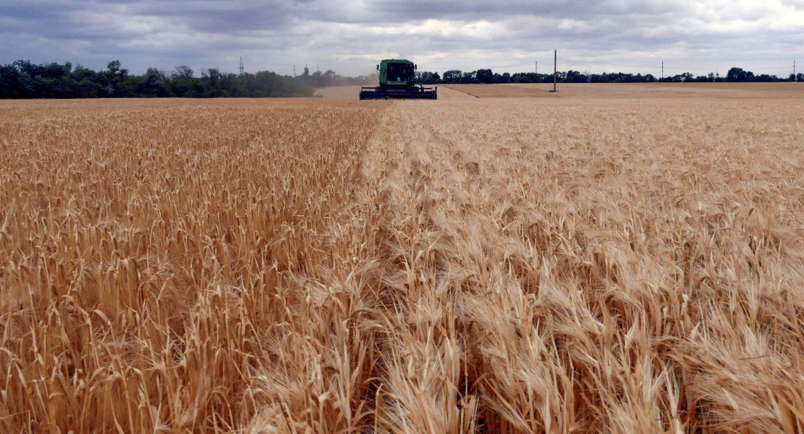 Cereales. Foto: Reuters.