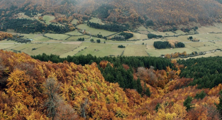 Bosques en España. Foto: EFE.