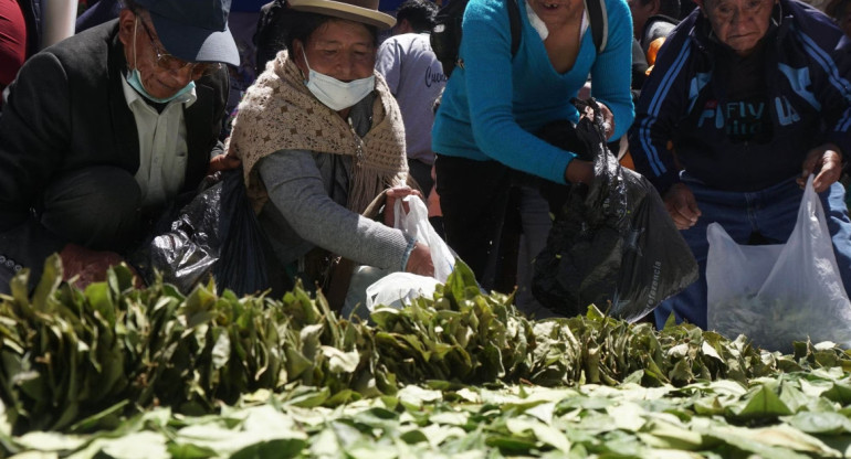 Hoja de coca, Bolivia. Foto: EFE