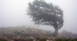 Viento, estado del tiempo, clima. Foto: NA.