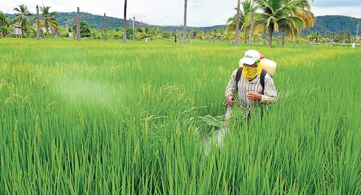 Plaguicidas en el campo.