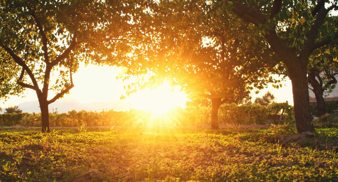 El agosto más cálido en 117 años. Foto: Unsplash