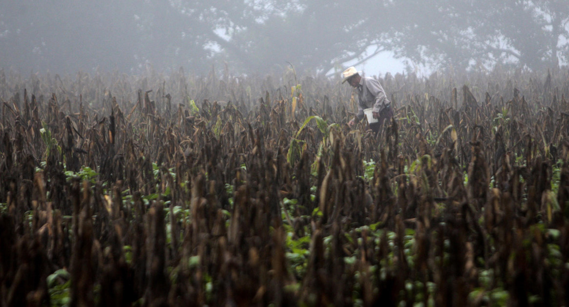 Fenómeno El Niño. Foto: EFE