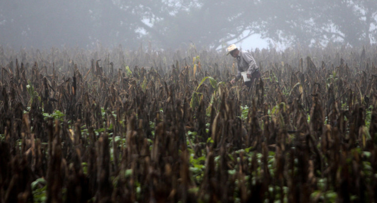 Fenómeno El Niño. Foto: EFE