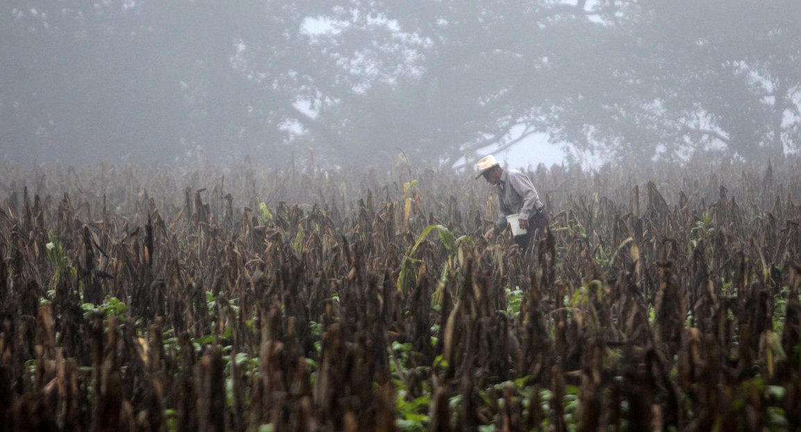 Fenómeno El Niño. Foto: EFE