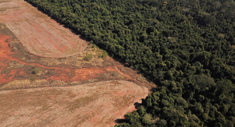 Deforestación en Amazonia. Foto: NA.