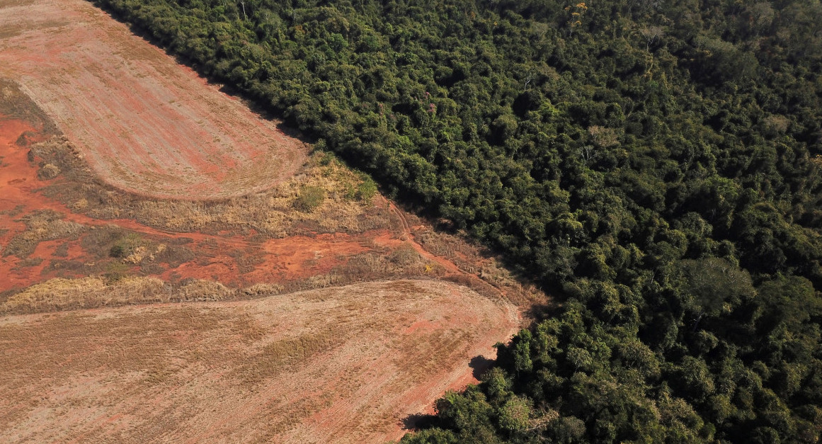 Deforestación en Amazonia. Foto: NA.