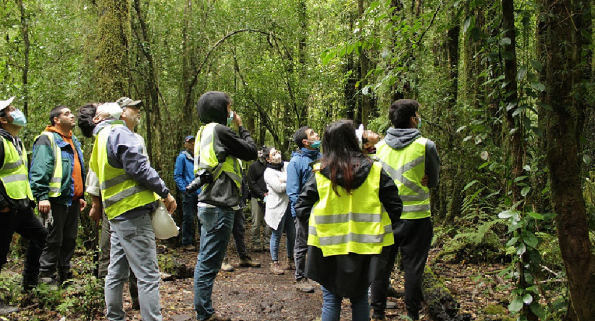 Ingenieros forestales. Foto: Facultad de Ciencias Forestales y Recursos Naturales de Chile,