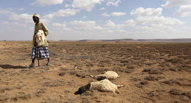 El Niño continuará durante el invierno boreal, según meteorólogos estadounidenses. Foto Reuters.