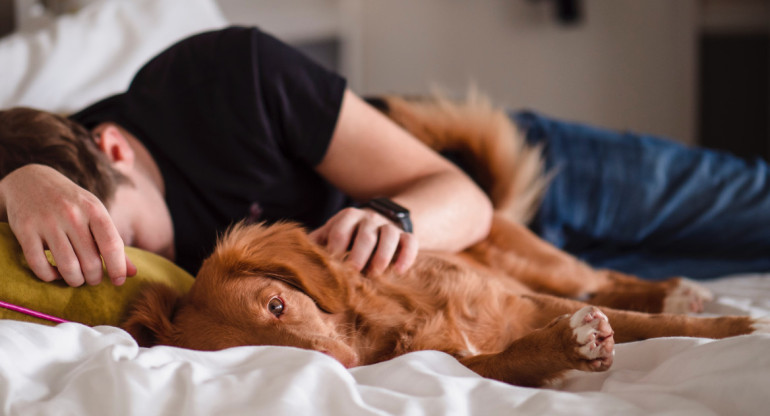 Dormir con nuestras mascotas puede afectar a nuestra salud. Foto: Unsplash.