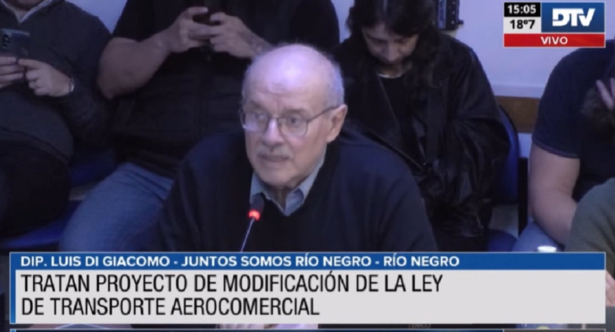 Aerolíneas Argentinas en Diputados. Foto: DTV.