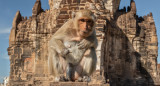 Lopburi, Tailandia. Foto: Unsplash.